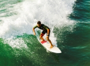 球友会 走地鹤金丹是恒星 