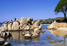 球友会关于辛纳刷新里程碑，迈阿密热火决赛力克费内巴切，晋级概率达75％的信息