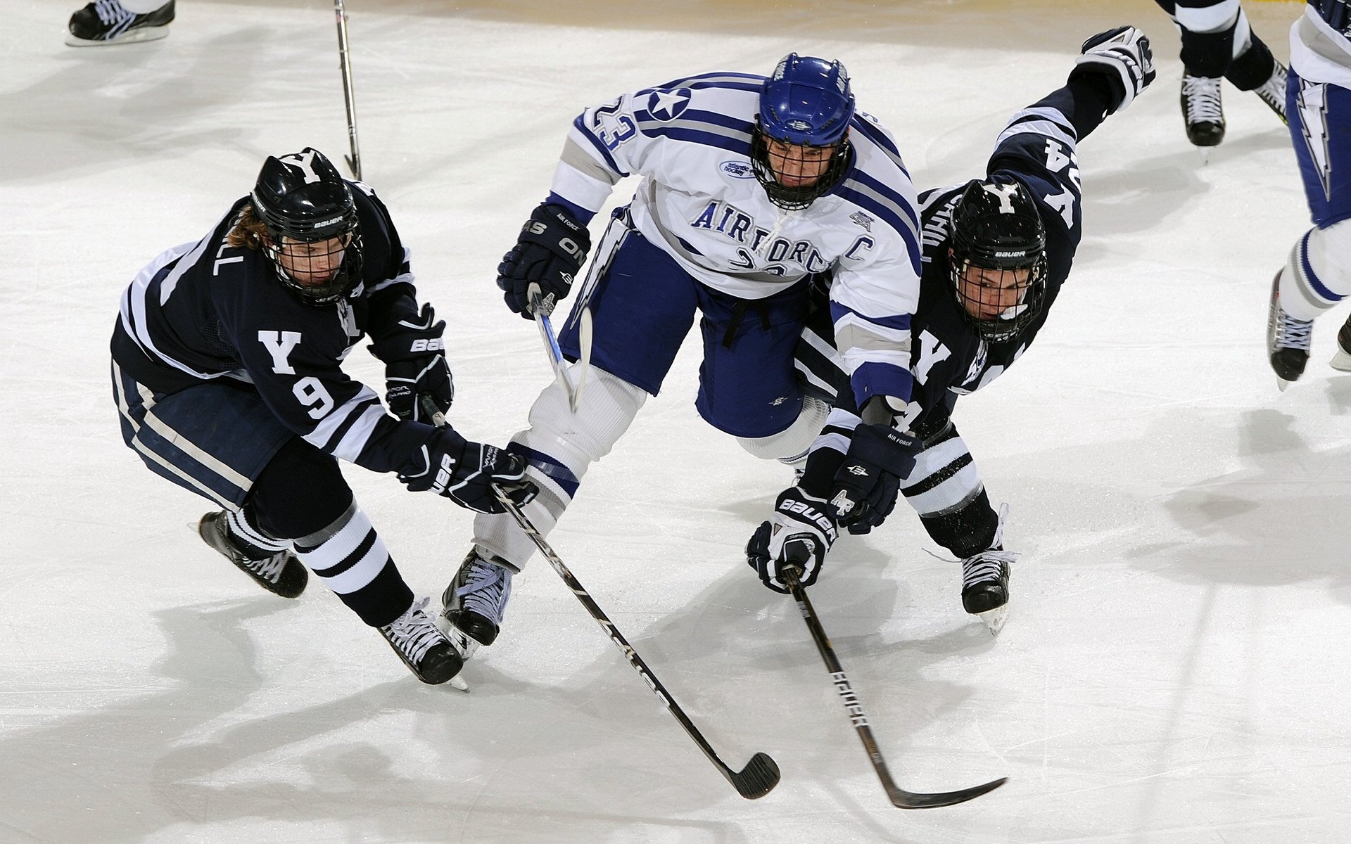 若昂菲利克斯壁纸