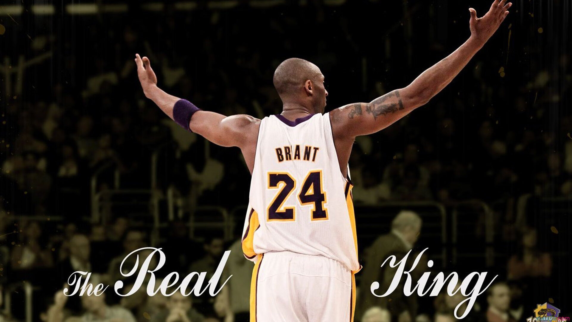 广东男篮士气爆棚，美网决赛遇上菲尼克斯太阳，目标明确直指晋级的简单介绍